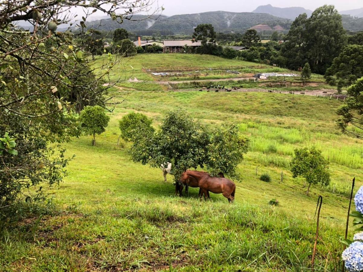 Pousada Fazenda Da Invernada Urubici Dış mekan fotoğraf